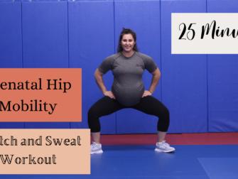 prenatal hip mobility workout thumbnail