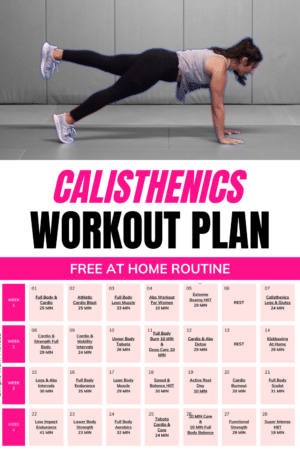 beginner calisthenics workout plan